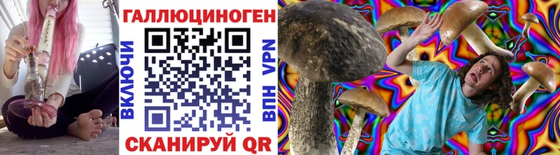 Галлюциногенные грибы GOLDEN TEACHER  shop телеграм  Черкесск 